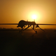Illustration for article titled An American Moral Crisis: Gizmodo Talks Drones with Dennis Kucinich